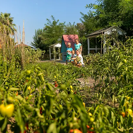 Resort Marvida Family Eco Side