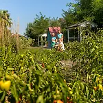 리조트 Marvida Family Eco 시데